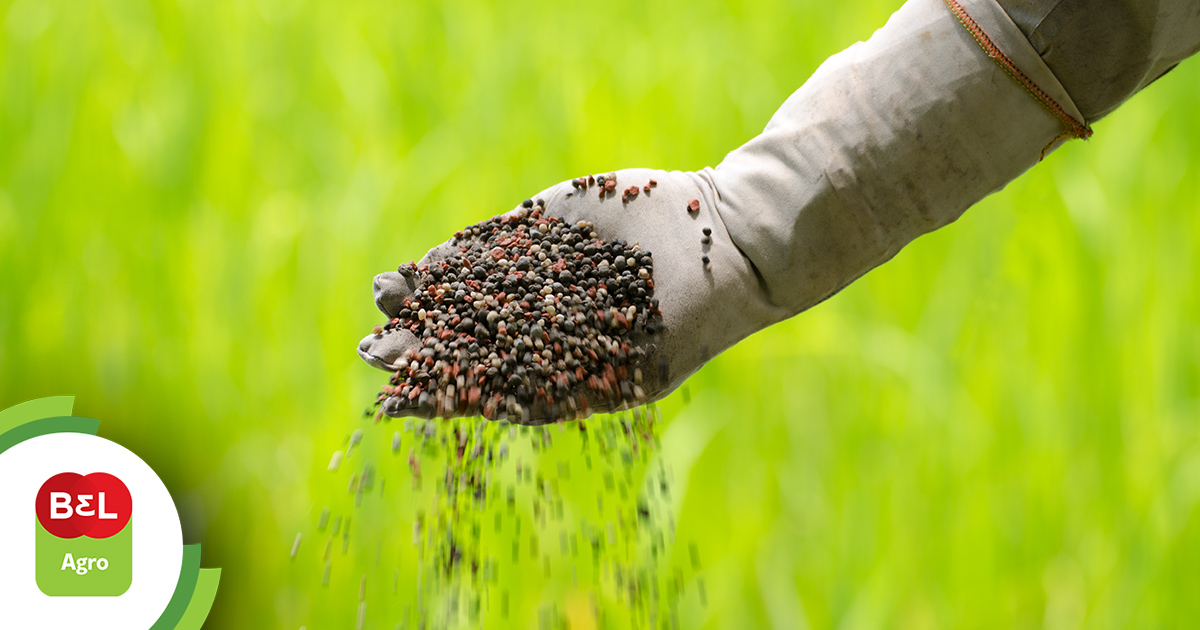 Conhe A As Estrat Gias De Aplica O De Fertilizantes Para A Sua Lavoura