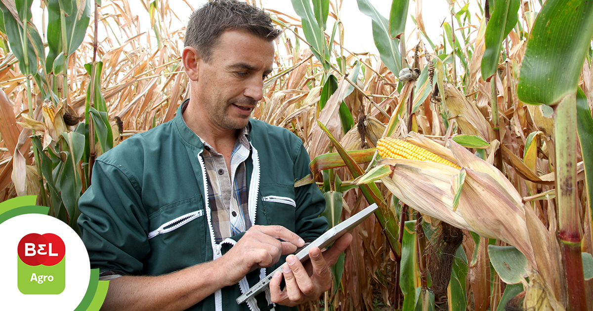 Cinco dicas para melhorar a gestão da propriedade rural