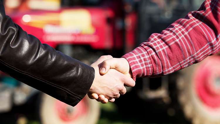 fornecedores da loja agropecuária